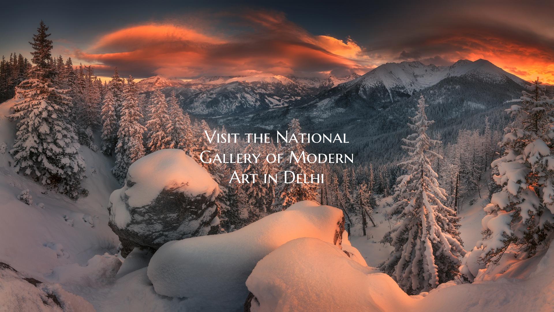Visit the National Gallery of Modern Art in Delhi