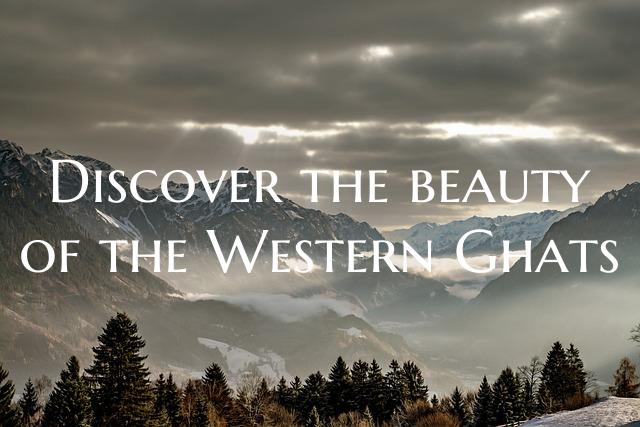 Discover the beauty of the Western Ghats